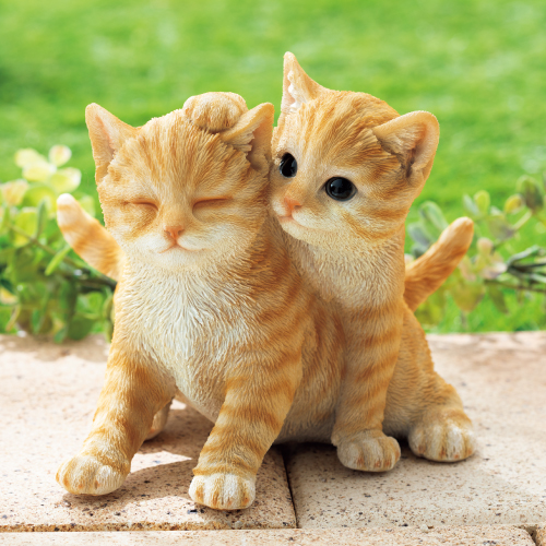 ベニーズキャット『よしよし』