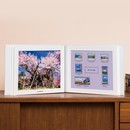 特選・日本の桜　切手アルバム　昭和・平成　記念切手コレクション　全４８種
